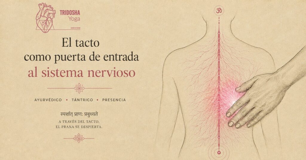 ¿Estrés crónico en Madrid? Descubre Tridosha Yoga en Vallecas: El método personalizado para regular tu sistema nervioso
